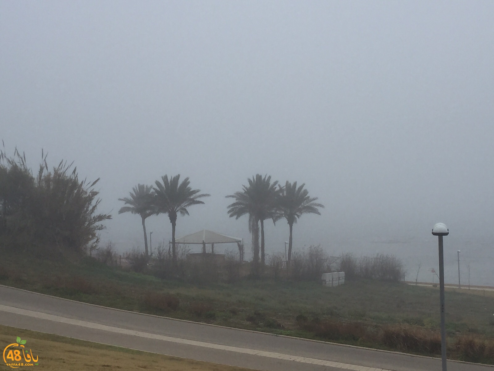 fog in yaffa (2).jpg